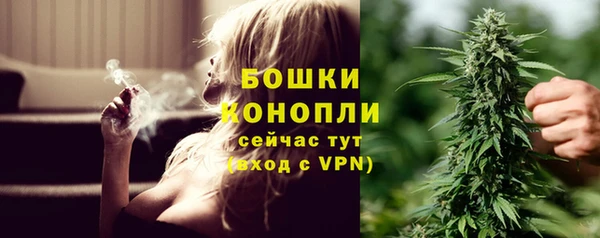 крисы Володарск