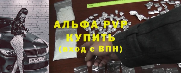 спиды Волоколамск